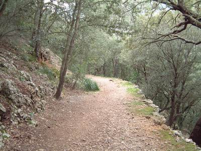 DSCF0099.JPG